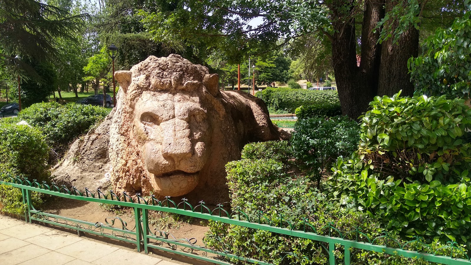 Le Lion d'ifrane - Ifrane