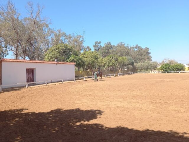 Club Equestre Des FAR - Inezgane -