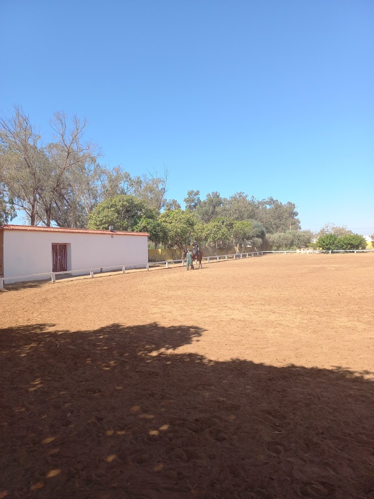 Club Equestre Des FAR - Inezgane