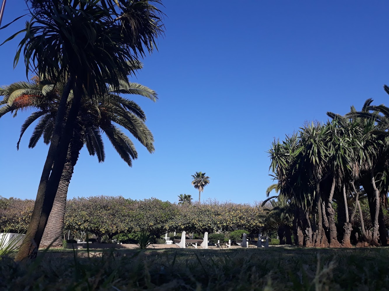 Terrains de sidi Othmane - Casablanca
