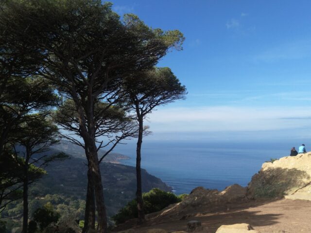 Parc Perdicaris - Tanger -