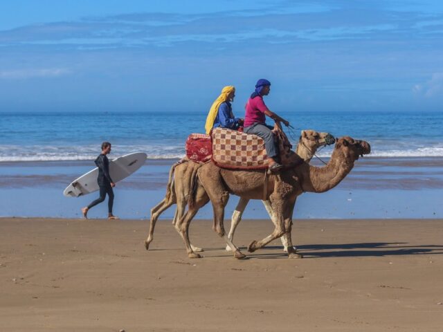 Abo Surf Morocco - Tamraght - +212 658-206504