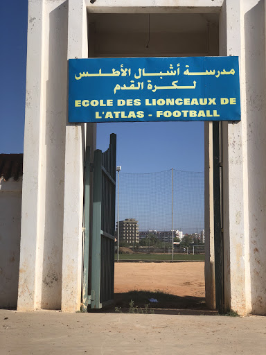 Lionceaux de l’atlas - Mohammédia