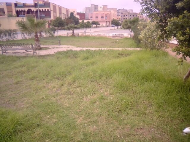 المركب السوسيو رياضي للقرب - Nador -