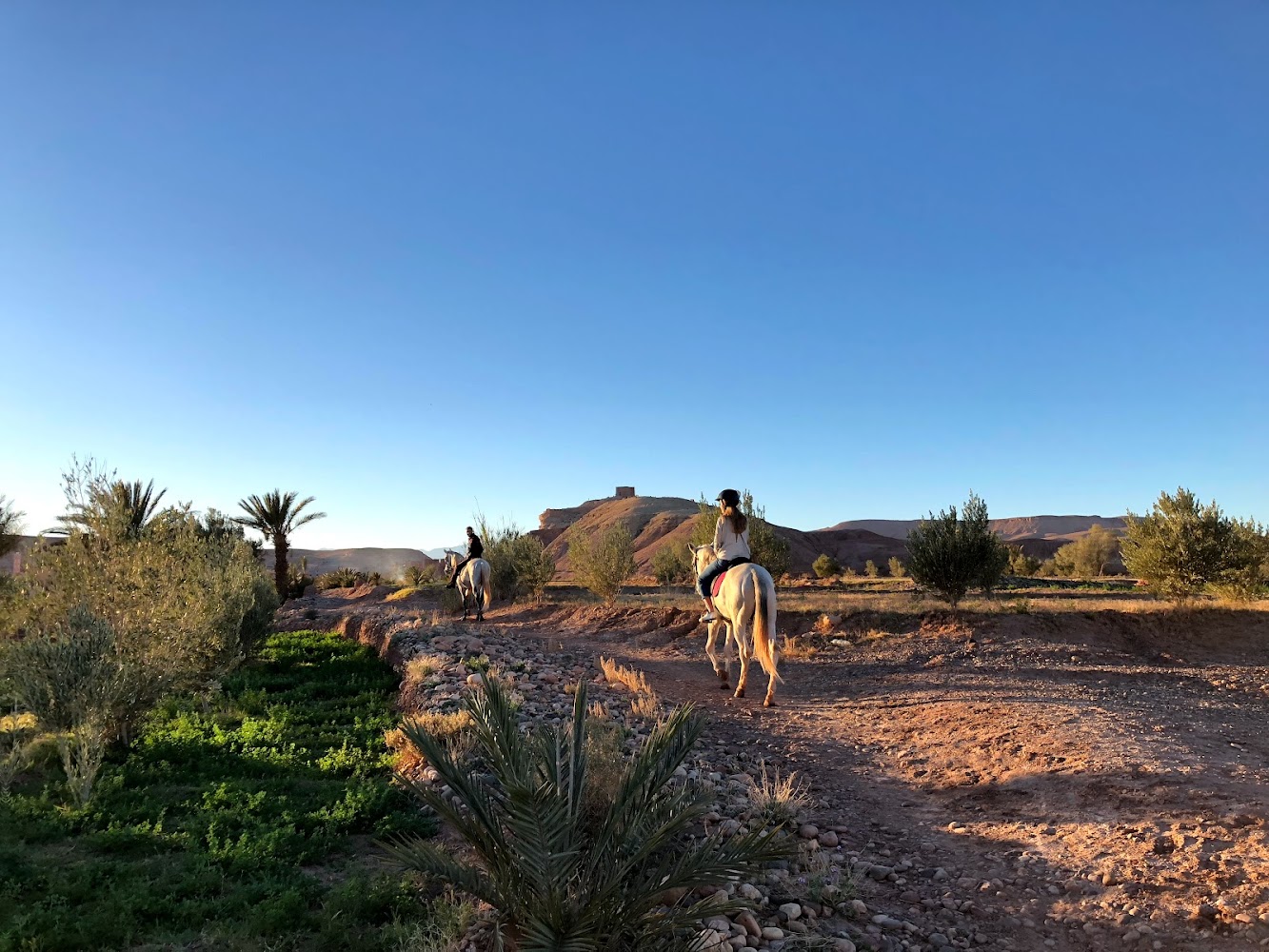 Centre d’art equestre - Aït Ben Haddou