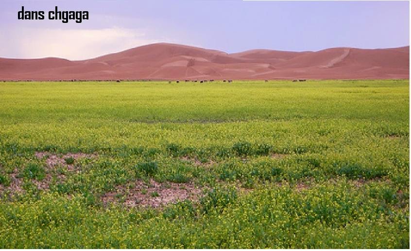 Sahara Holidays - Ouarzazate