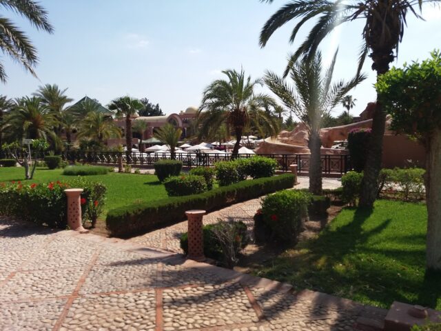 Afnane Studio Maroc - Khémisset -