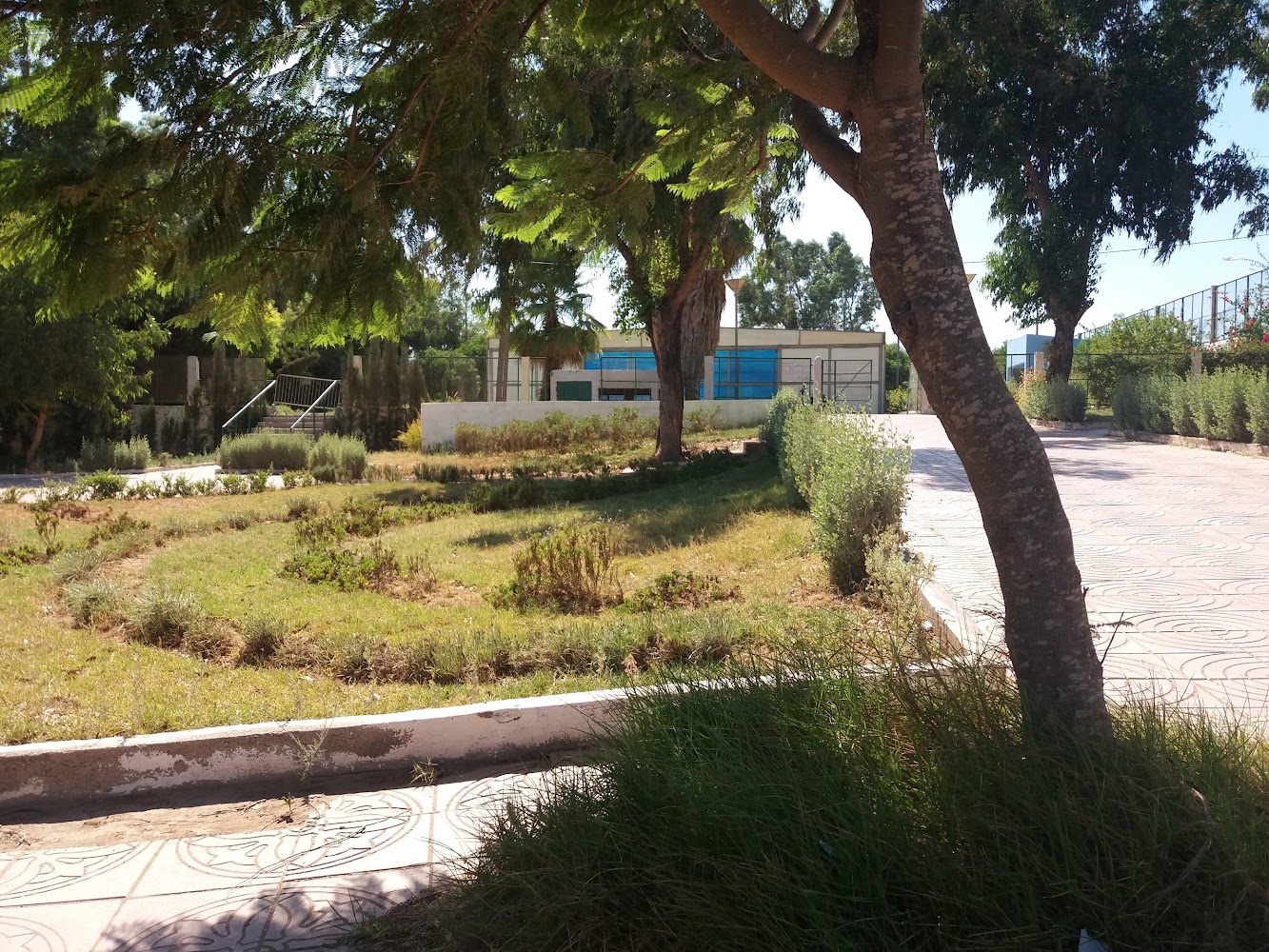 Salle De Sports Couverture complexe Sportif de Safi Maroc - Safi