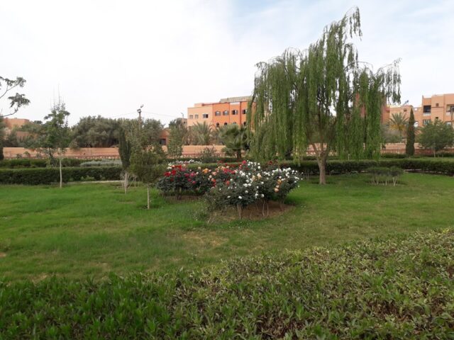 Espace vert Mouha Oujaja - Tinghir -