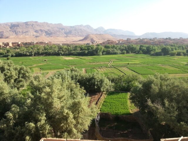 Tawrirte - Tinghir -