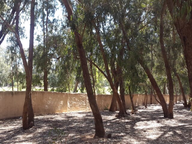 Climbing Park Agadir - Inezgane - +212 682-802552