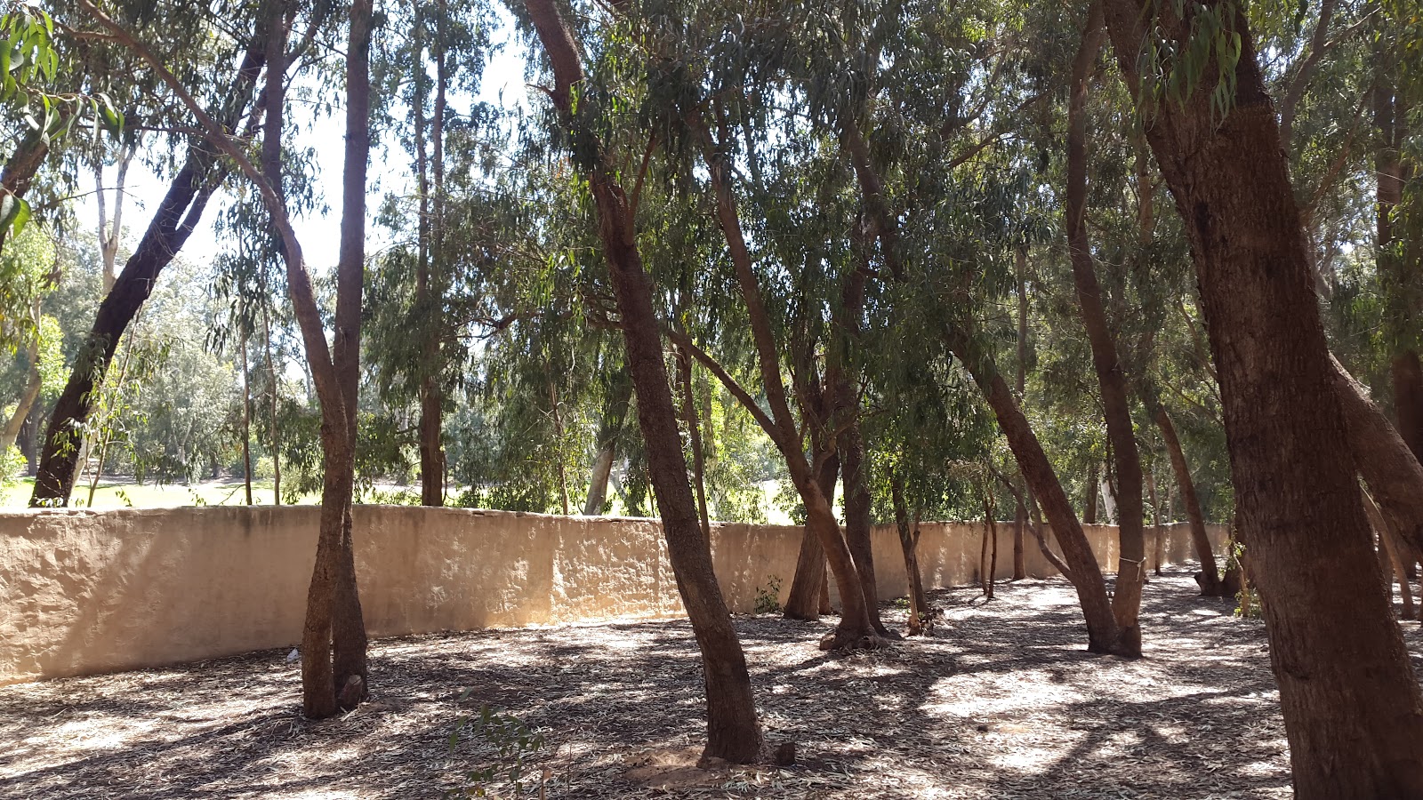 Climbing Park Agadir - Inezgane - +212 682-802552