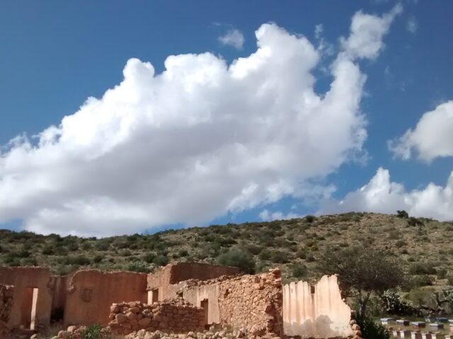 Attadamoune Micro Finance Entité Nador Taouima - Nador - +212 5363-80384