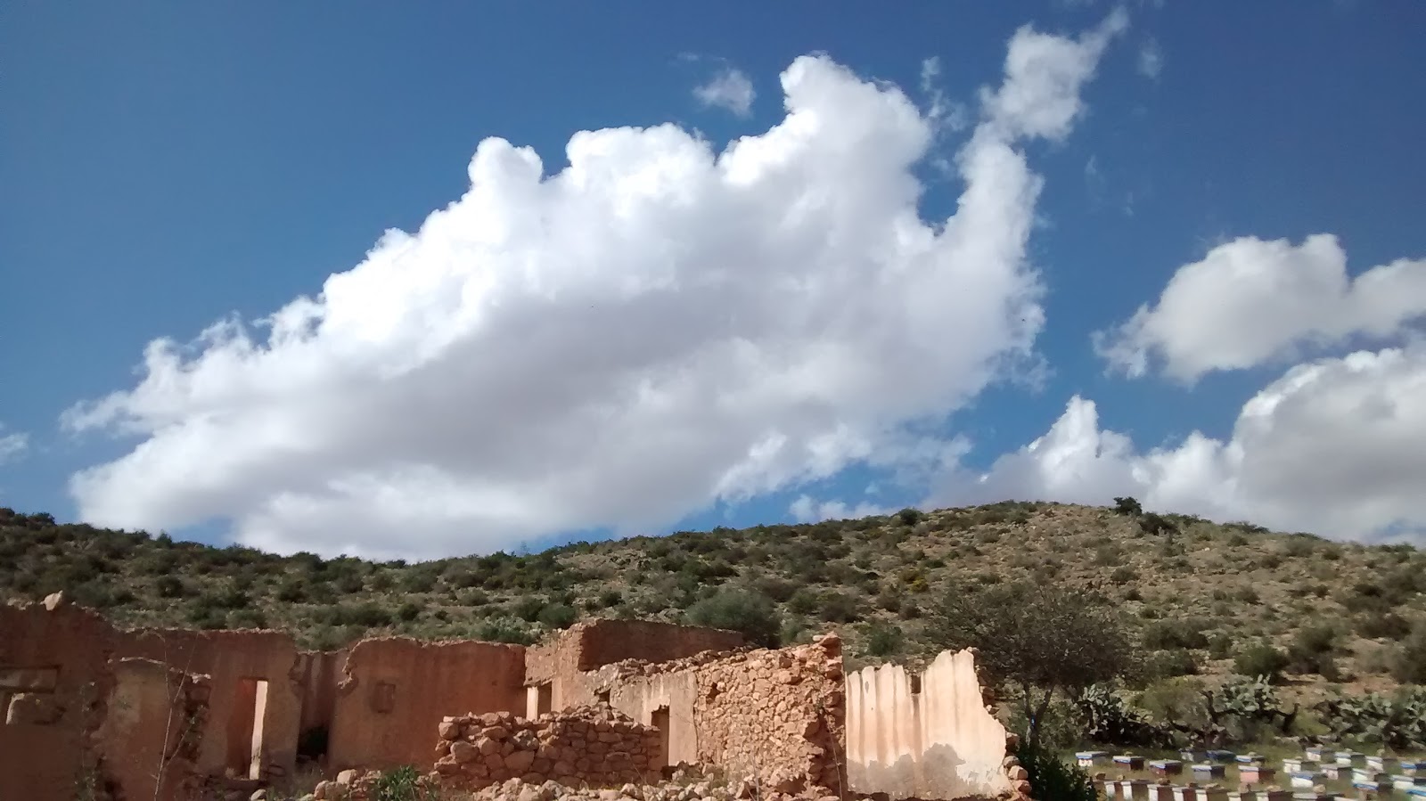Attadamoune Micro Finance Entité Nador Taouima - Nador