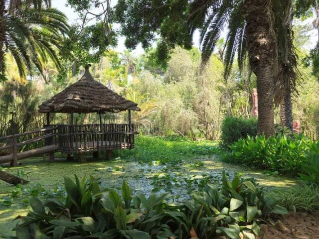 Jardins Exotiques de Bouknadel Maroc - Sidi Bouknadel - +212 5378-22756