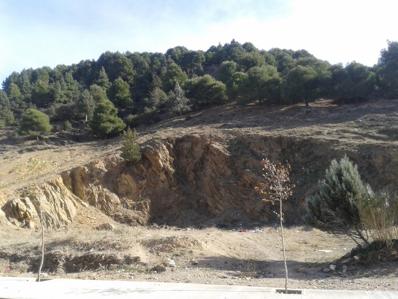 MONTAGNE BOUGHIAL - Azrou -