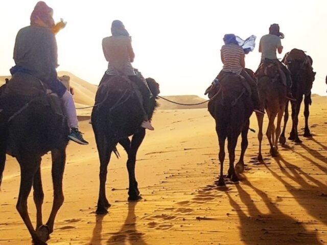 Marrakech Expedition 4x4 - Ouarzazate - +212 662-291705