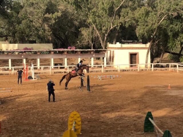 Argana terre de cheval - Inezgane - +212 5283-81668