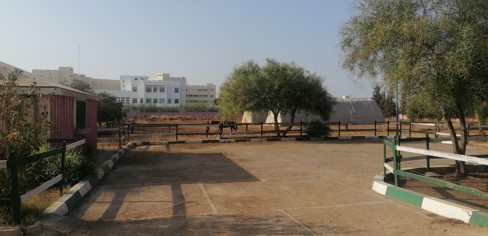 royal club équestre prince moulay abdellah fes - Fès