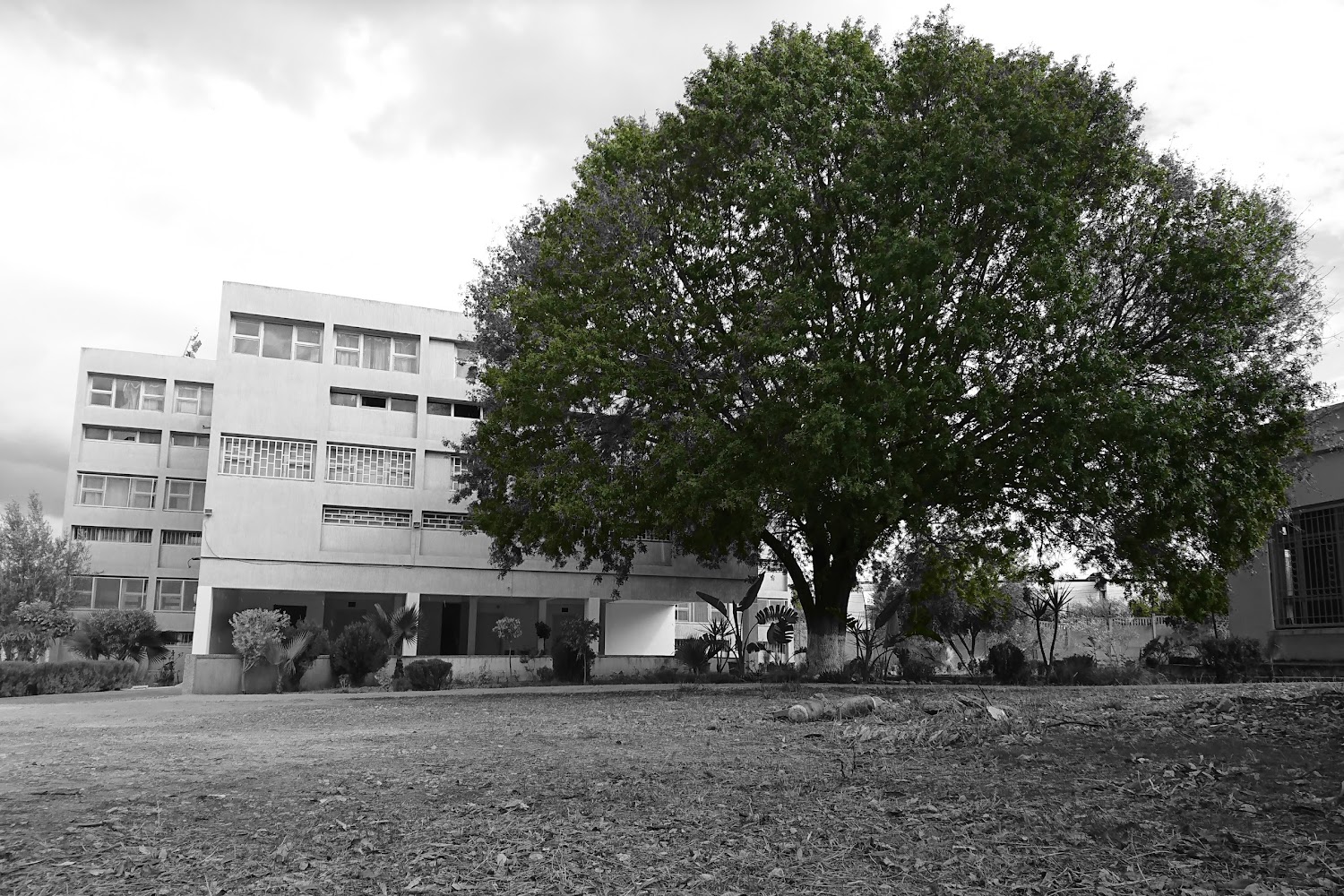 Regional Center for the professions of education and training branch of Sidi Kacem - Sidi Kacem