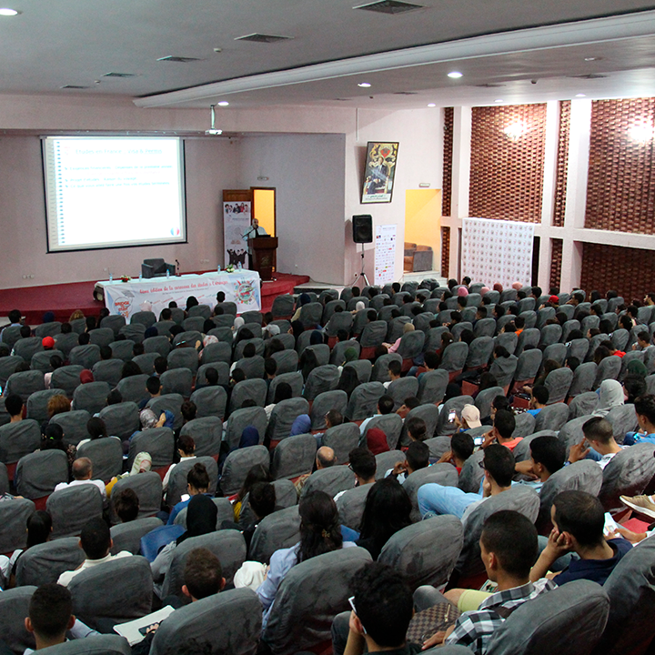 Bridge To Study - Casablanca - Casablanca