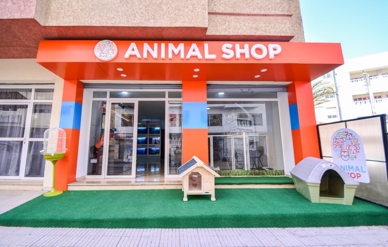 Animal Shop Kénitra - Kénitra