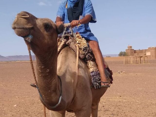 Morocco Trip Link LLC - Expert's Private Attractions - Agadir - +212 666-819859