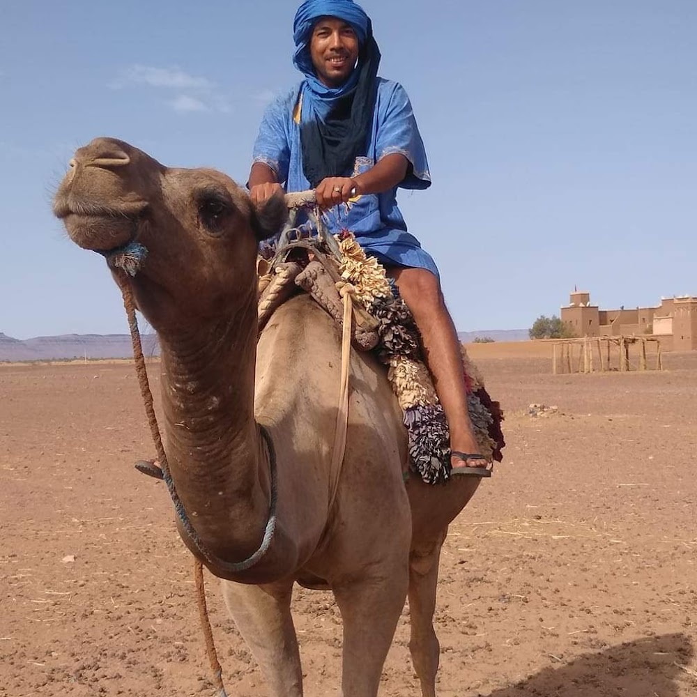 Morocco Trip Link LLC - Expert's Private Attractions - Agadir