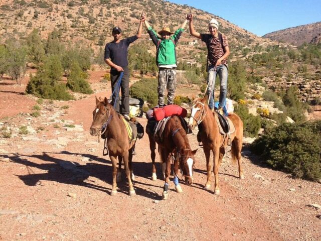 Ranch Cheval Aourir - Agadir - +212 660-739222