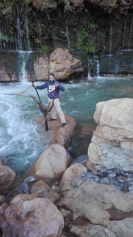 La Maison de Citroen et Toyota