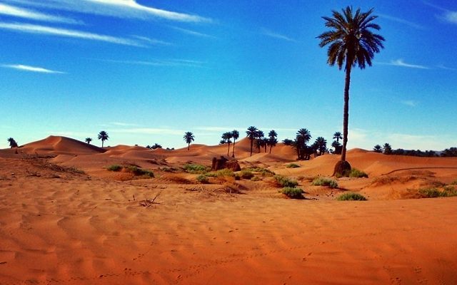 Morocco Luxury Trip - Ouarzazate - +212 674-451672