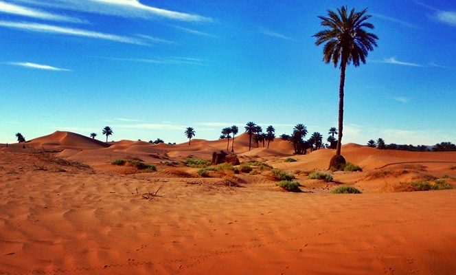 Morocco Luxury Trip