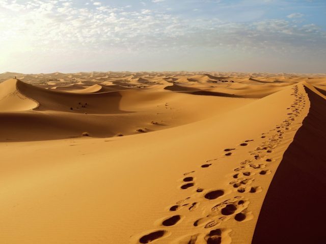 ACACIA VOYAGES - Zagora - +212 672-732462