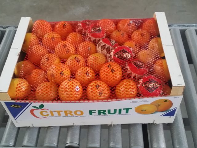 Citro Fruit 36 centre commercial ouled teima