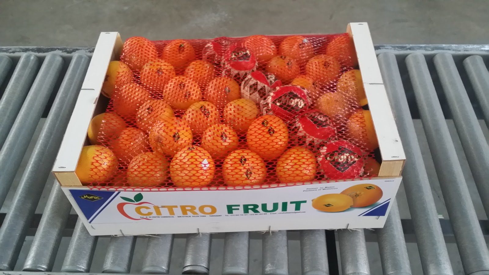 Citro Fruit 36 centre commercial ouled teima