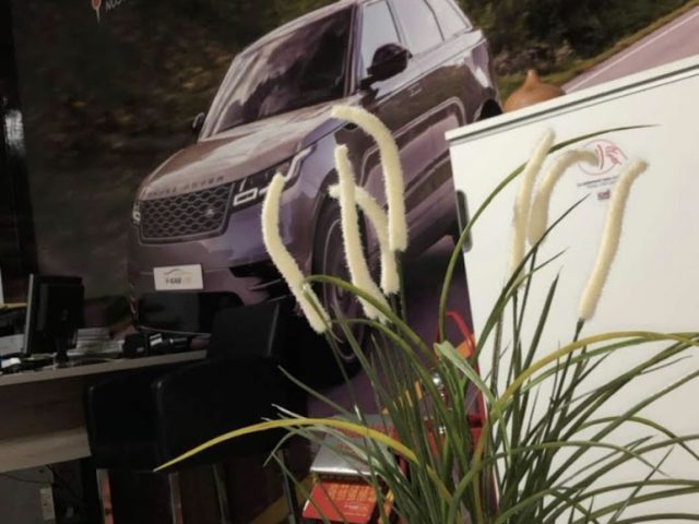 Belassalcars - Sidi Kacem - +212 624-137590