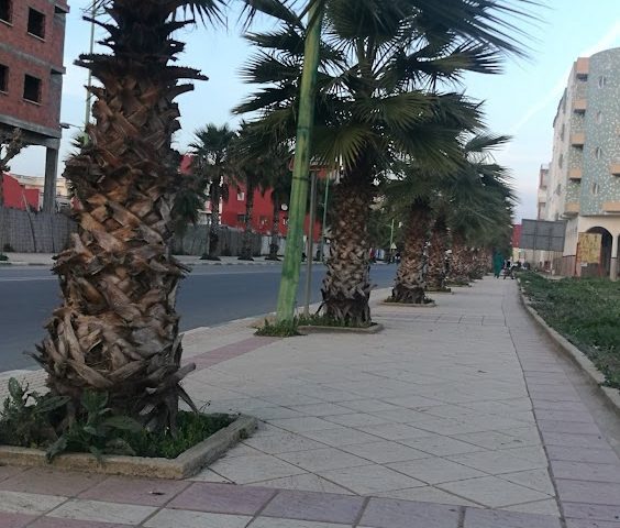 HAJ BEN ZIAN CAR Location de Voitures - Ksar El-Kébir - +212 661-247113