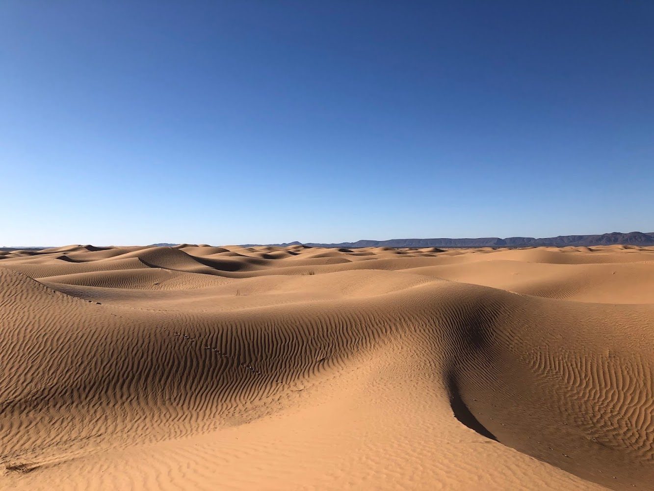 Morocco Magic Tours