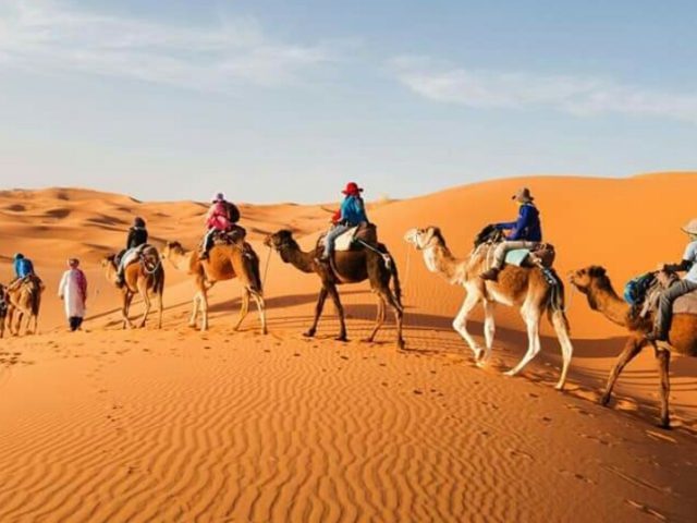 Fes Morocco tours - Fès - +212 652-613306