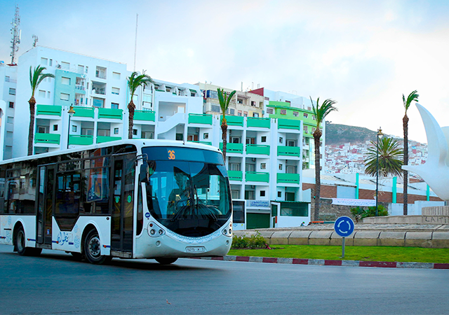 Vitalis Transport - Tétouan - +212 700-181617