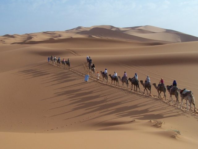 Nature Dream voyages - Ouarzazate - +212 661-194785