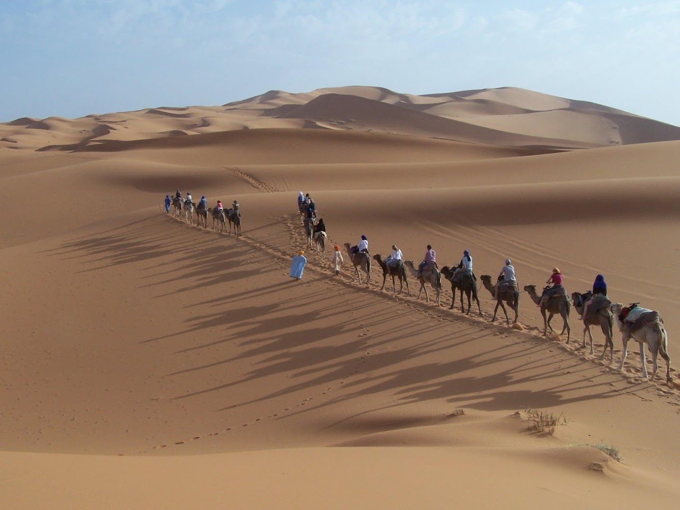 Nature Dream voyages