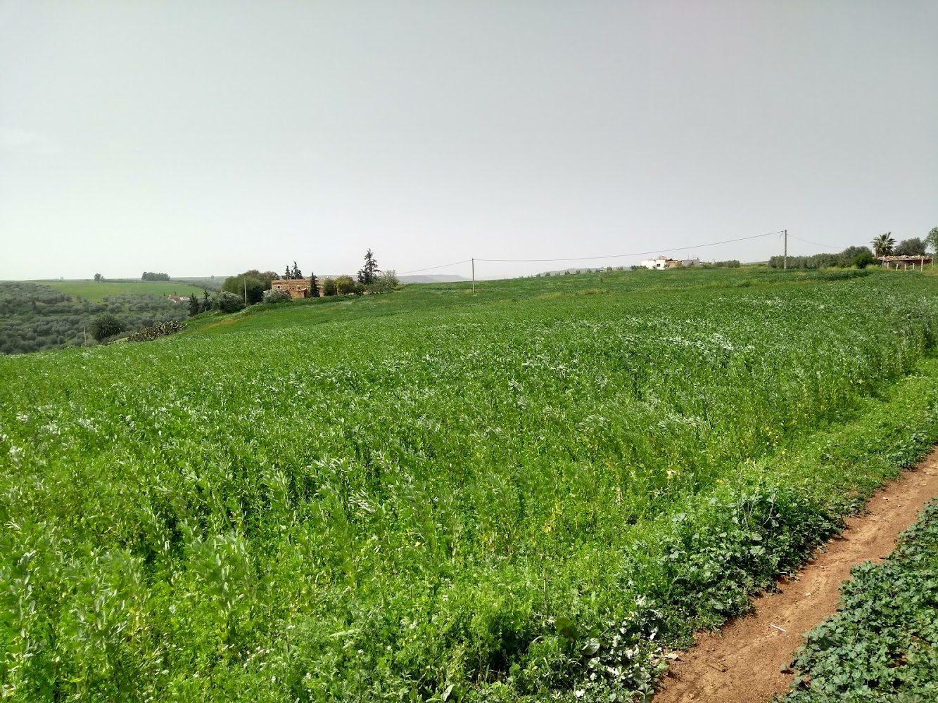 Province de Khénifra