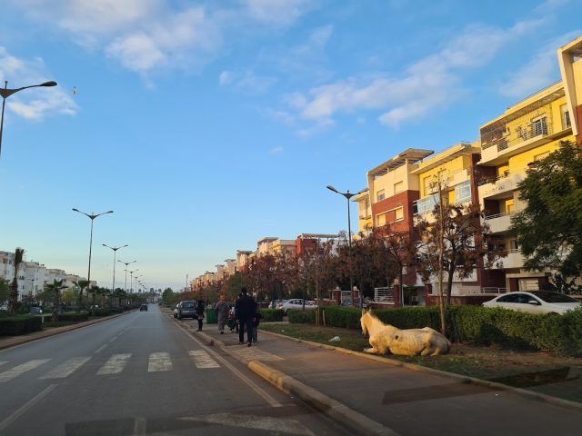 Station service Winxo - Tamesna -