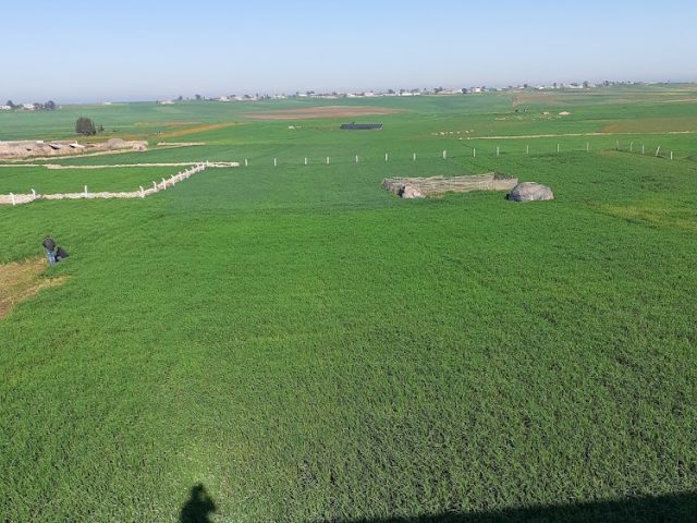 Doukkala-Abda