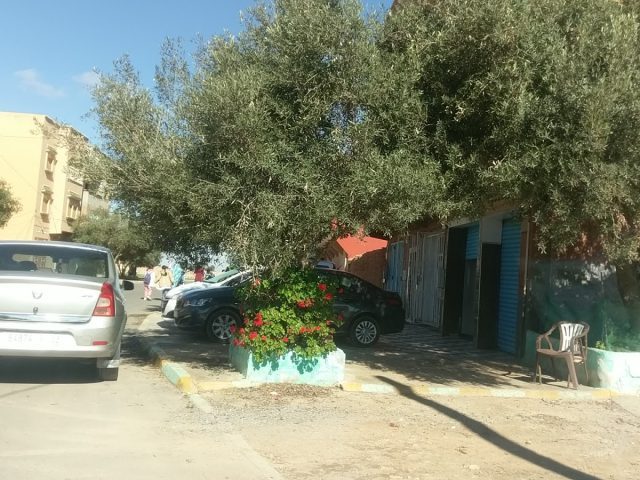 Pauless Cars - Tiznit - +212 607-154802