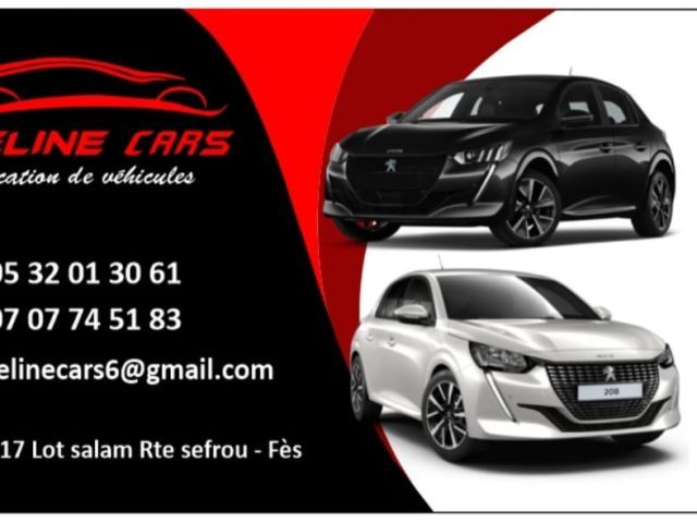 FELINE CARS - Fès - +212 707-745183