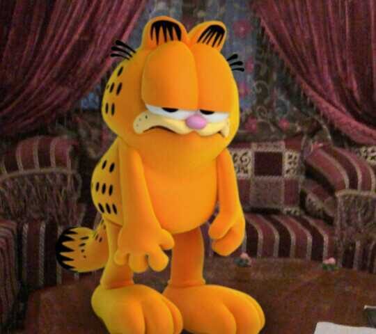 Auto-Moto École Bourass - Tétouan - +212 642-534049