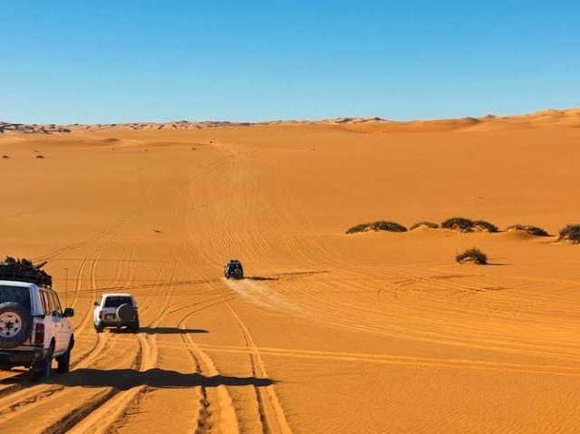 Anaconda Tours - Marrakech - +212 661-202239
