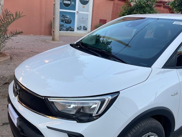 Mheyaouicar - Berkane - +212 667-021238